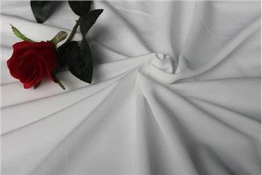 Kann Polyester-Trägerstoff für Flaggen verwendet werden?